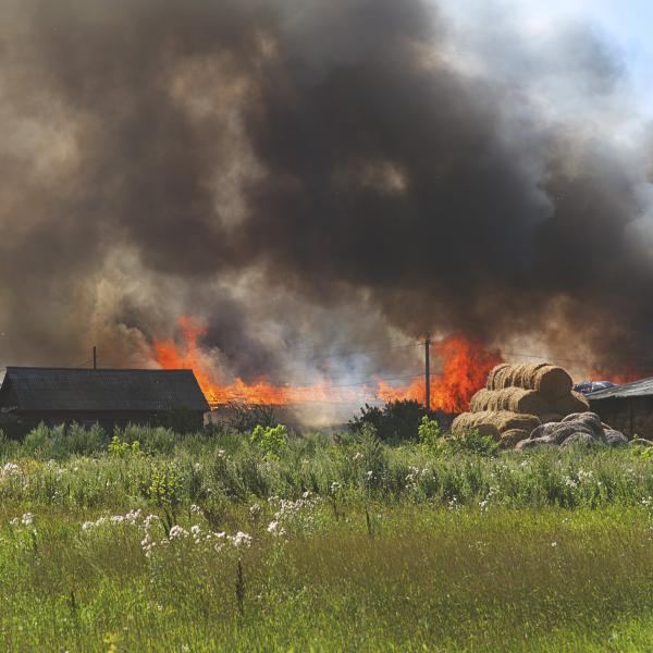 a barn fire is seen in the distance, across a field