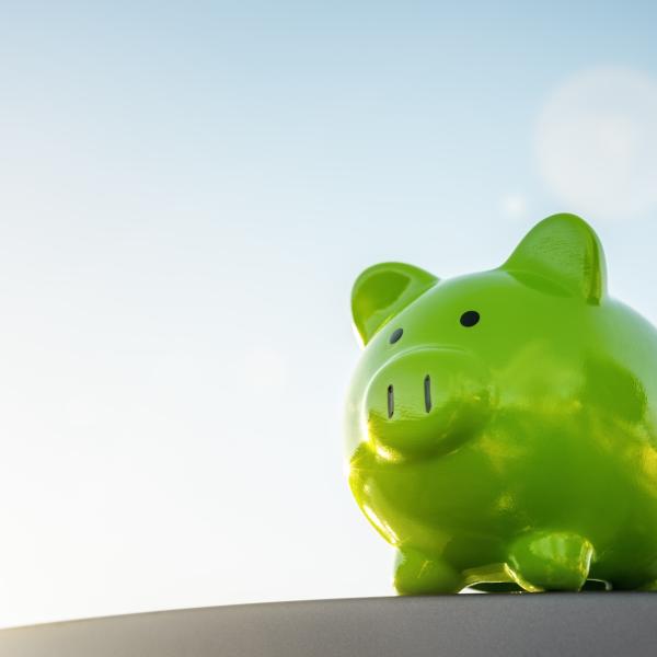 A green piggy bank against a blue sky