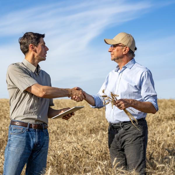 Men shaking hands in a wheat field